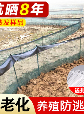 龙虾防逃网拦鱼螃蟹膜鱼s塘青蛙虾塘甲鱼支撑杆小龙虾专用养殖围