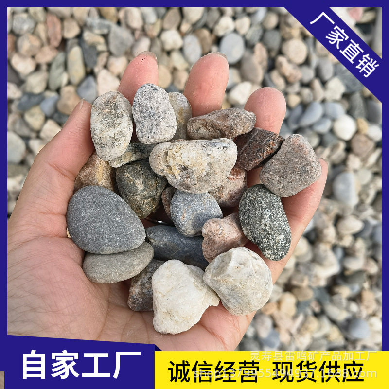 厂家批发彩色鹅卵石 造景铺路鹅卵石 胶粘石鹅卵石碎石砾石