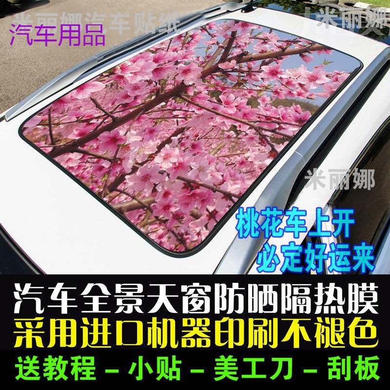 FiK汽车全景天窗防晒隔热贴膜车顶贴纸3D立体改装 众泰T700/600哈