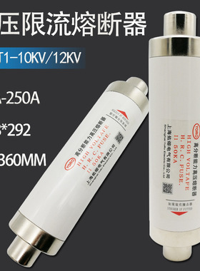 10KV高压限流熔断器XRNT-12KV/125A 160A 200A 250A高分断熔丝管