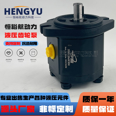 恒裕航液压泵2PDF11D 16D布雷维尼Brevini齿轮泵OT200P11D/R31S2