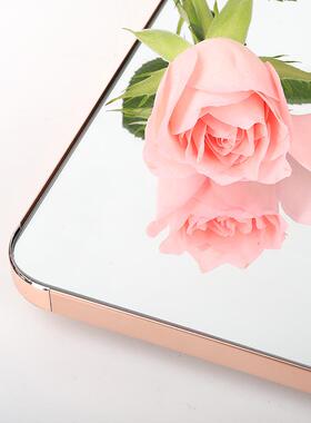 衣柜镜子RUS家用内装隐形拉试滑轨全身穿衣镜推内暗藏式折叠伸缩