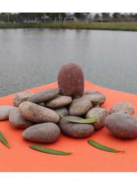 灰色2-3cm精选黄色培雨花石园水专艺用鹅石鱼缸卵造景装饰盆栽