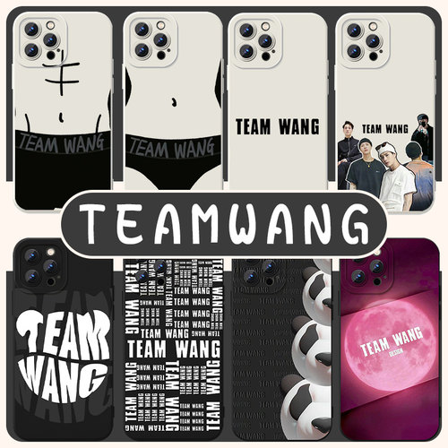 TEAMWANG手机壳苹果15华