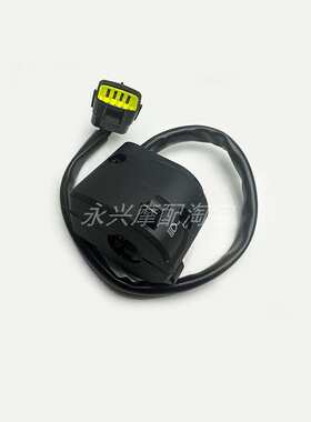 适用贝纳利黄龙BJ600GS/TNT600/BN600i左右组合开关大灯开关 点火