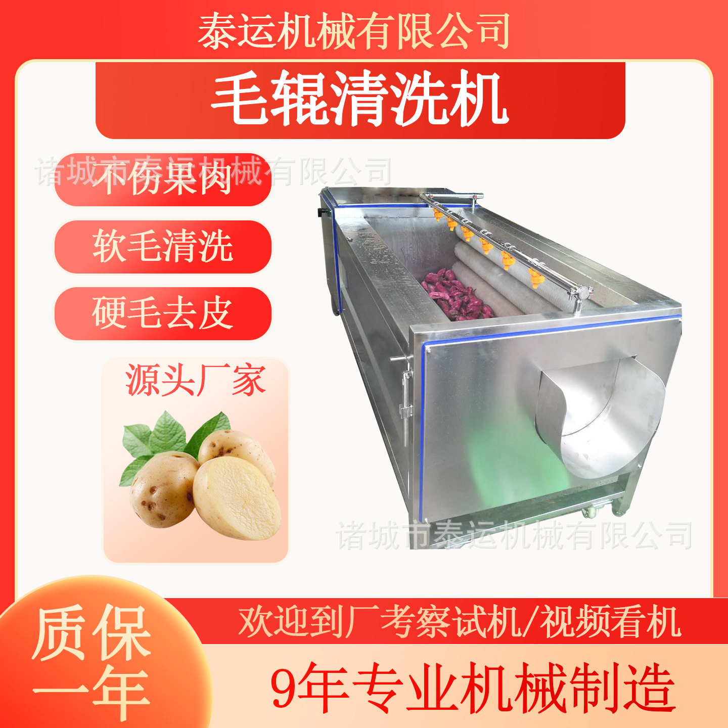 荔浦芋头去皮机 海螺毛刷清洗机 甘薯萝卜清洗线 胡萝卜清洗设备