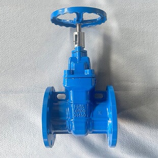 法兰标尺闸阀 Z45X-10/16Q 球墨铸铁 弹性座封闸阀DN50-DN300