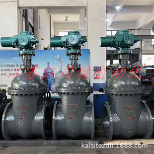 DN150矿用隔爆兼本安型一体式 25C 电动闸阀 ZJK941H 凯司特