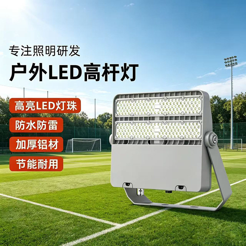BVP381LED防飞投光灯户外高杆