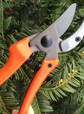 台湾奥迈克AMK009手剪修枝剪修剪果树砧式SK5钢园艺工具