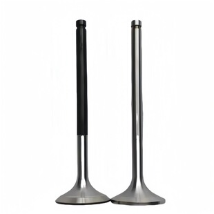 排气门2881812 矿山机械设备柴油机配件 进排气阀组件