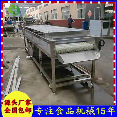 水萝卜高压喷淋平行毛辊清洗机 红薯田螺毛辊气泡清洗流水线批发