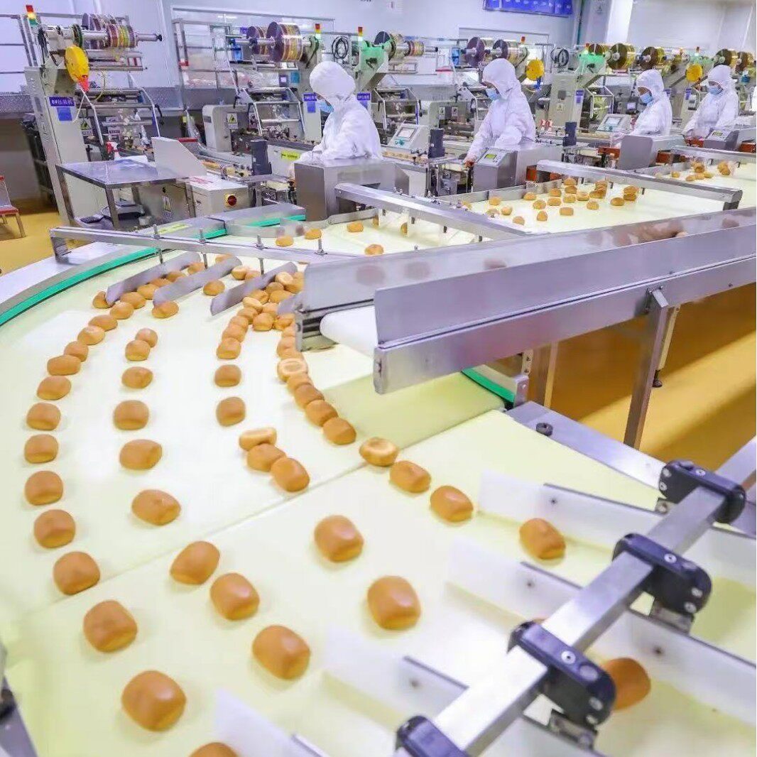 安徽食品包装流水线自动化生产线食品加工线物流分拣线输送机