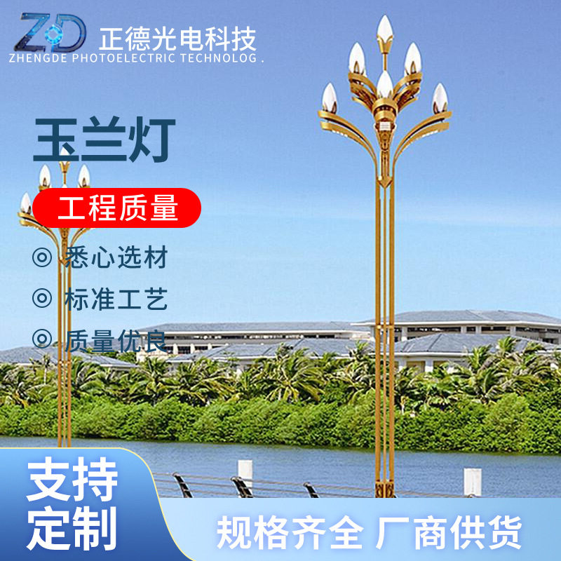 户外LED景观灯玉兰灯市政照明工程中华灯景区公园主干道道路照明