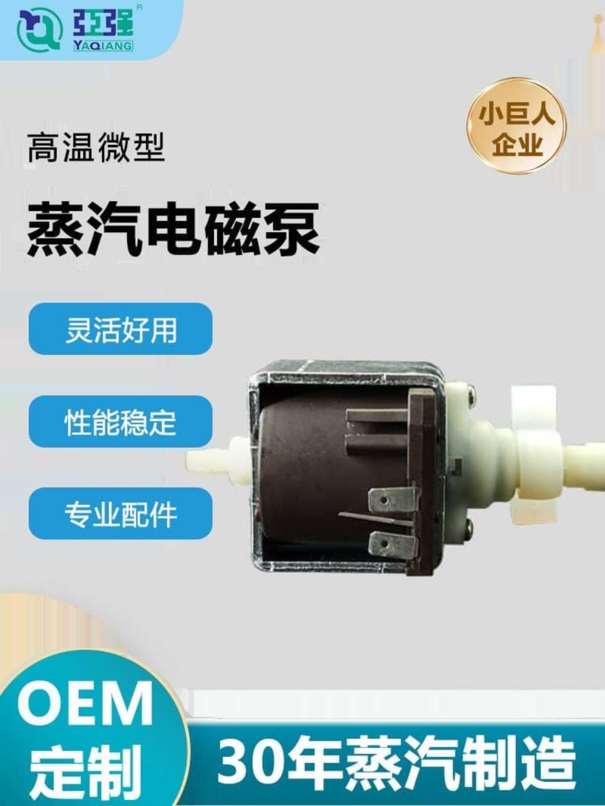 高温蒸汽洗车机微型电磁泵自吸式大流量水泵蒸汽清洗机扫地拖把机