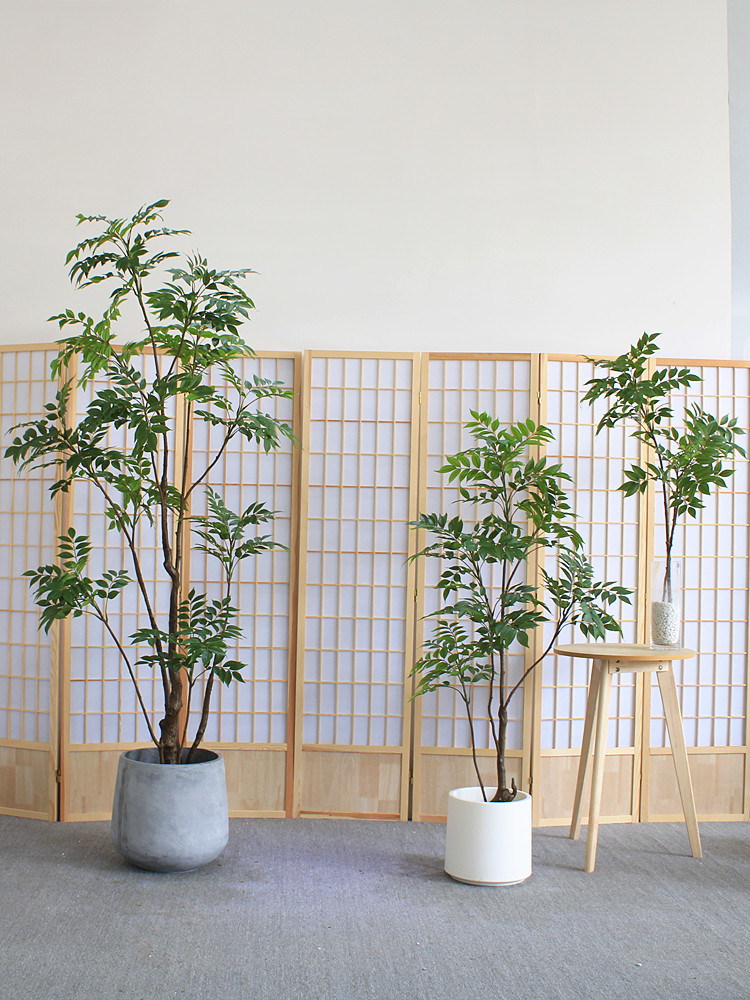 绿植物漆木室内商场店铺酒店橱窗客厅大型落地装饰盆景载