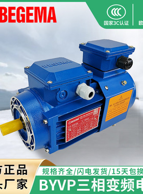 宝戈玛变频无极调速三相异步电机0.55千瓦-315千瓦电机 BYVP 变频