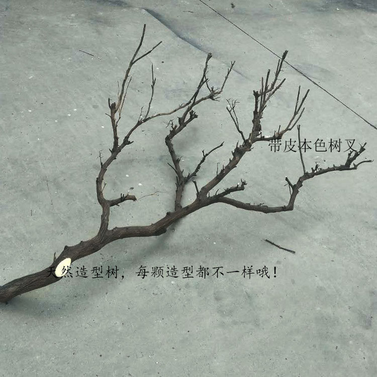 干树枝造景原木干枝装饰酒店枯枝设计真树枝墙面装饰吊灯树枝装饰