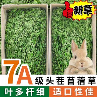 紫花苜蓿草干草兔子草蒲公英豚鼠龙猫饲料幼兔粮草胡萝卜缨苜宿