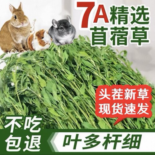 25年新草兔子苜蓿草龙猫兔子豚鼠