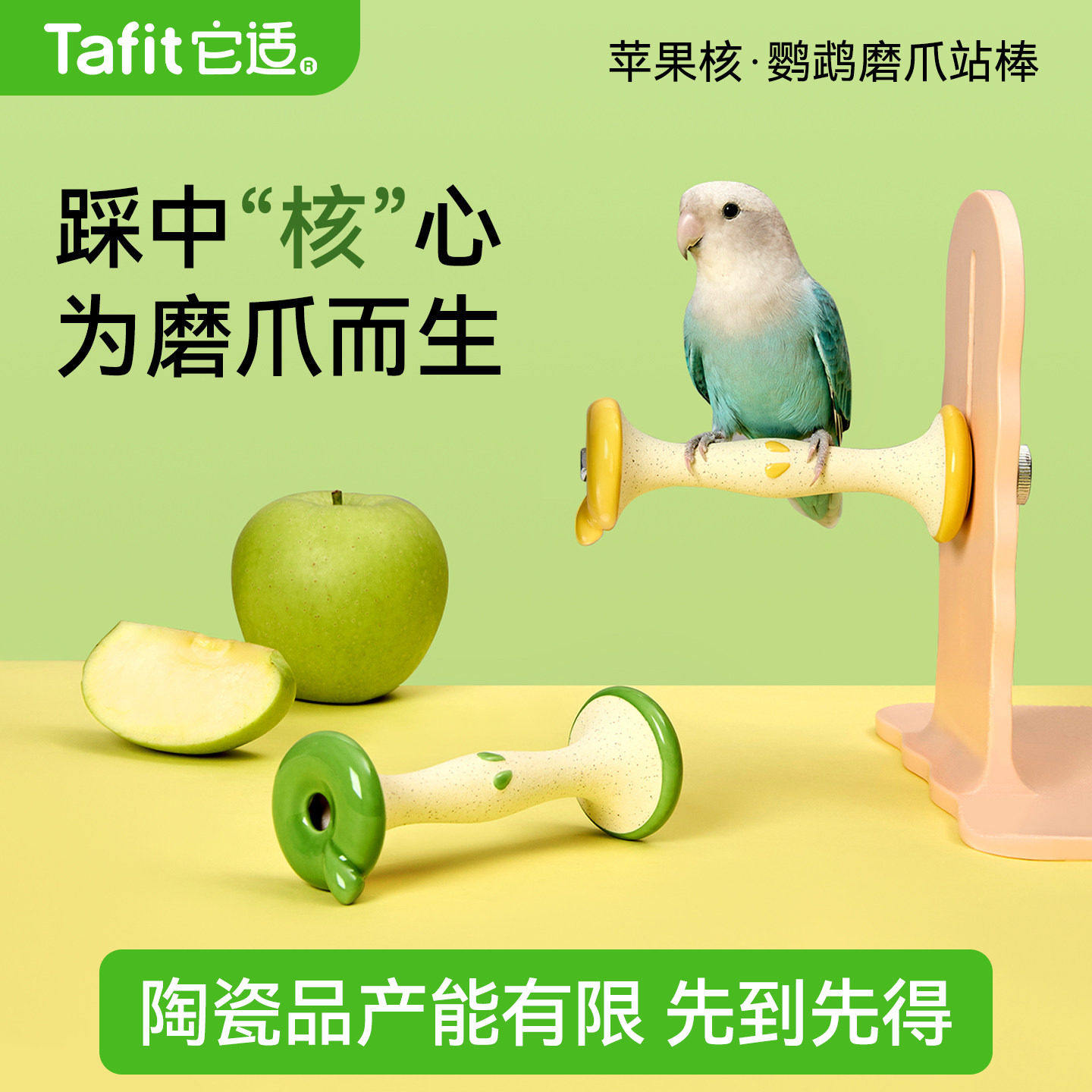 它适鹦鹉站杆苹果核磨砂站棒图片