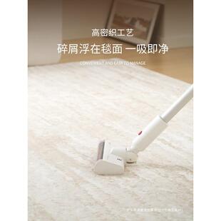 奶油卧室地垫家用沙发防水防污轻奢感天津 地毯客厅新款