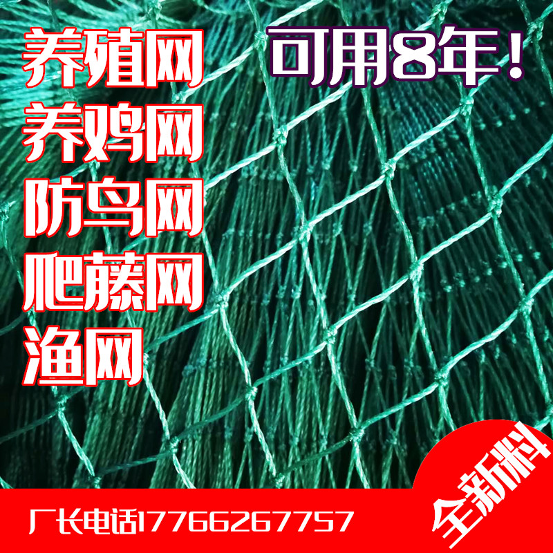 养鸡网山鸡网拦鸡网家禽养殖网防鸡网天网菜园网围鸡网围栏网户外
