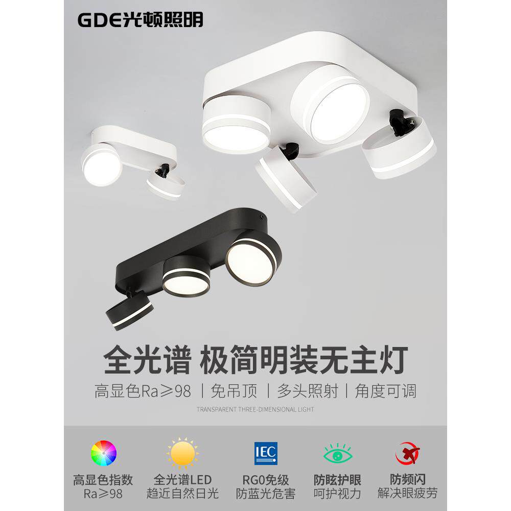 全光谱Led表面安装筒灯多头，双头，三头大胆灯，可调角度客厅家