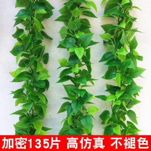 饰仿真绿萝叶空调水管道遮挡藤蔓暖气栏杆塑料 精品假花藤条缠绕装