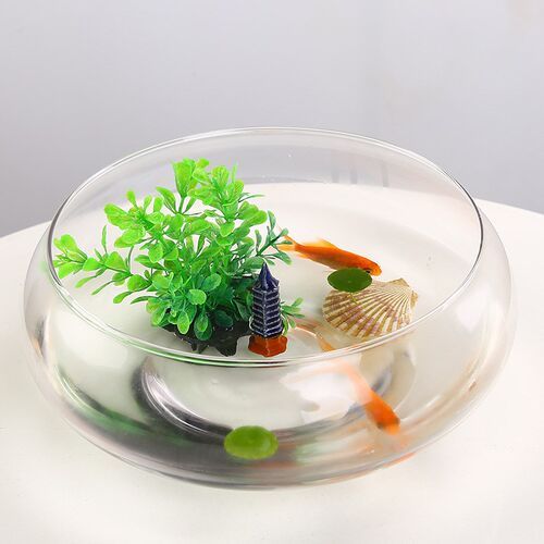 热销水培玻璃花瓶透明大t号乌龟鱼缸水养植物器皿铜钱草睡碗莲水