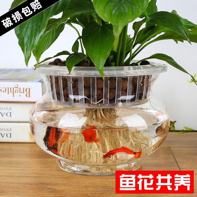 热销绿萝花d卉水培花盆透明玻璃花瓶大号碗莲盆水仙盆水养植物器