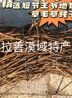 内蒙阿拉善巴丹吉林沙漠细段甘草无人为干边角毛草预磨牙棒500克