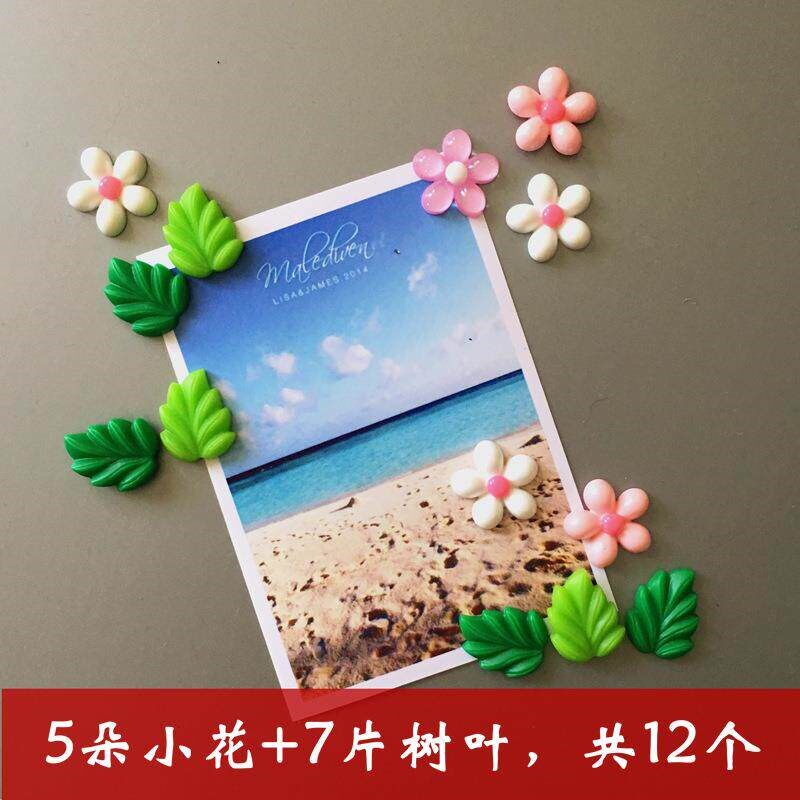 速发相框平板磁粒磁性白板黑板贴画板办公室动物磁钉吸铁石磁石可