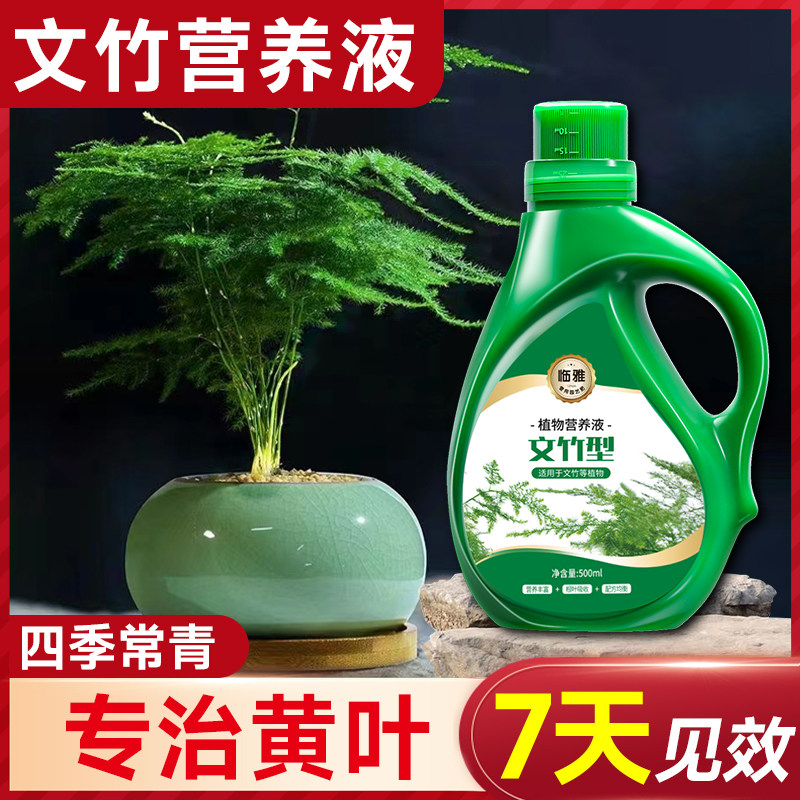 速发文竹营养液治黄叶专用肥料花卉营植发财树富贵竹植物常绿绿养