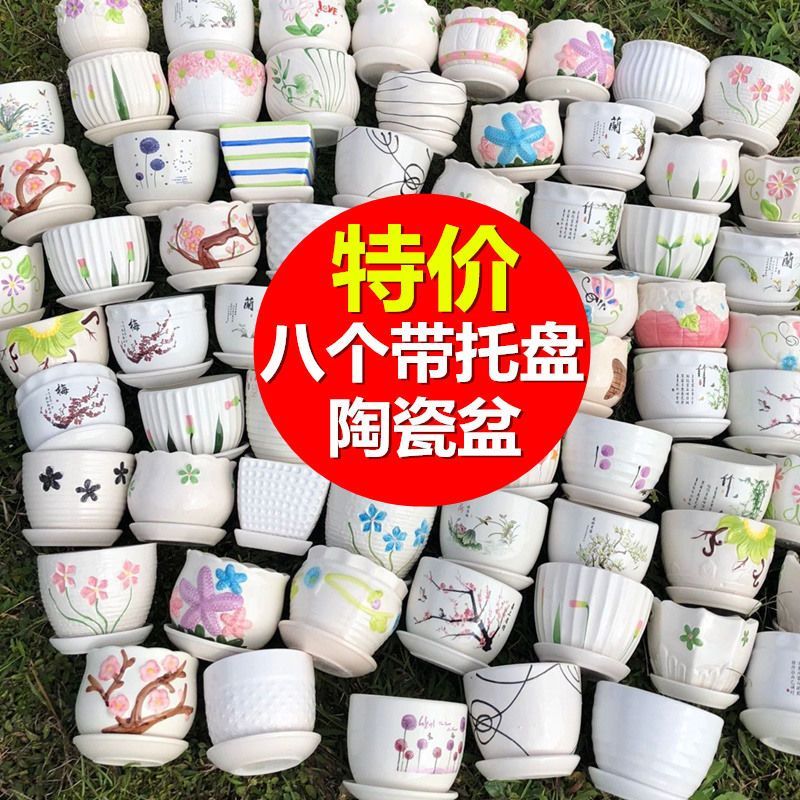速发多肉花盆陶瓷萝号多肉植物带托盘绿大创意花约家用小简盆
