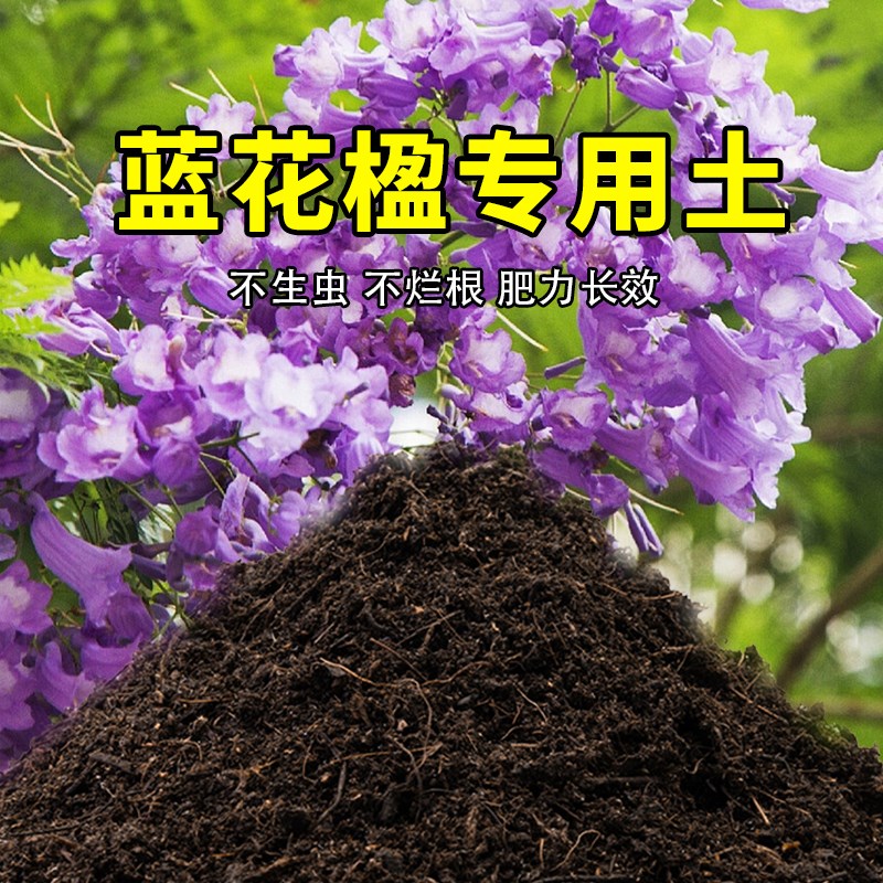 速发蓝花楹家土用养花有机土壤种植土肥料种花盆花土蓝栽楹营养土