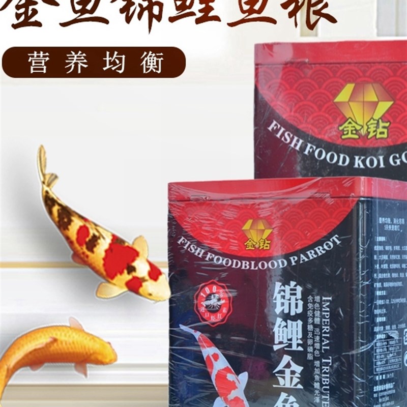 速发金钻锦鲤鱼粮锦鲤色扬增鱼体食观饲鱼鱼赏料不浑水鱼粮