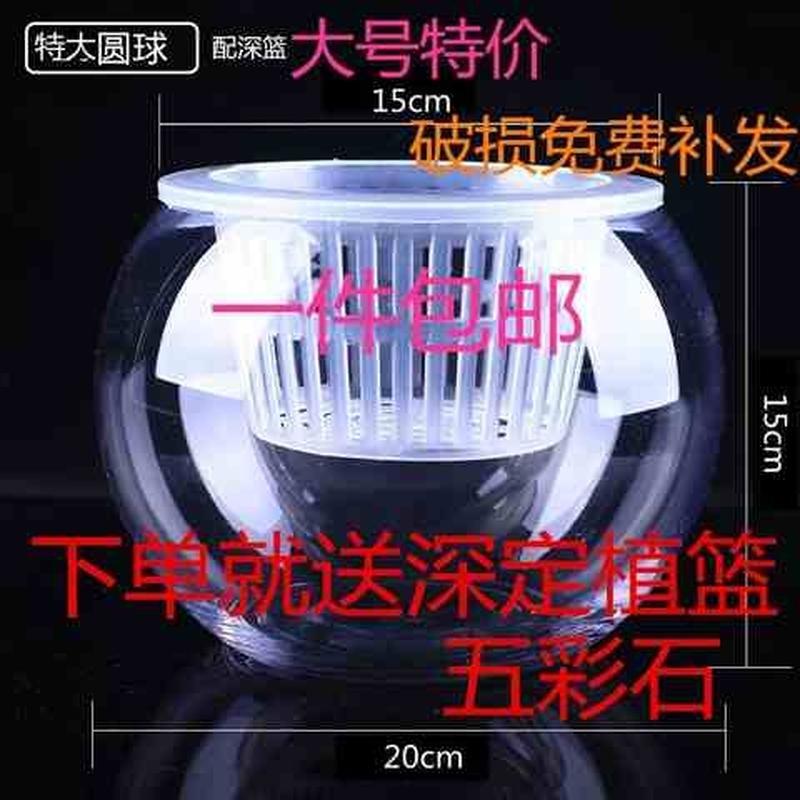 速发水培植物玻绿瓶水培璃萝花瓶花盆缸璃圆球水养鱼玻器皿容器鱼