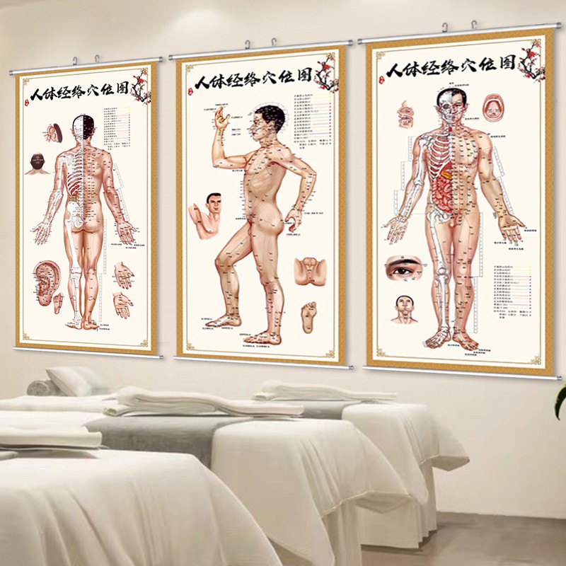 速发人体经络穴位图挂人大真图中医病症对挂画全身照画针灸装饰画