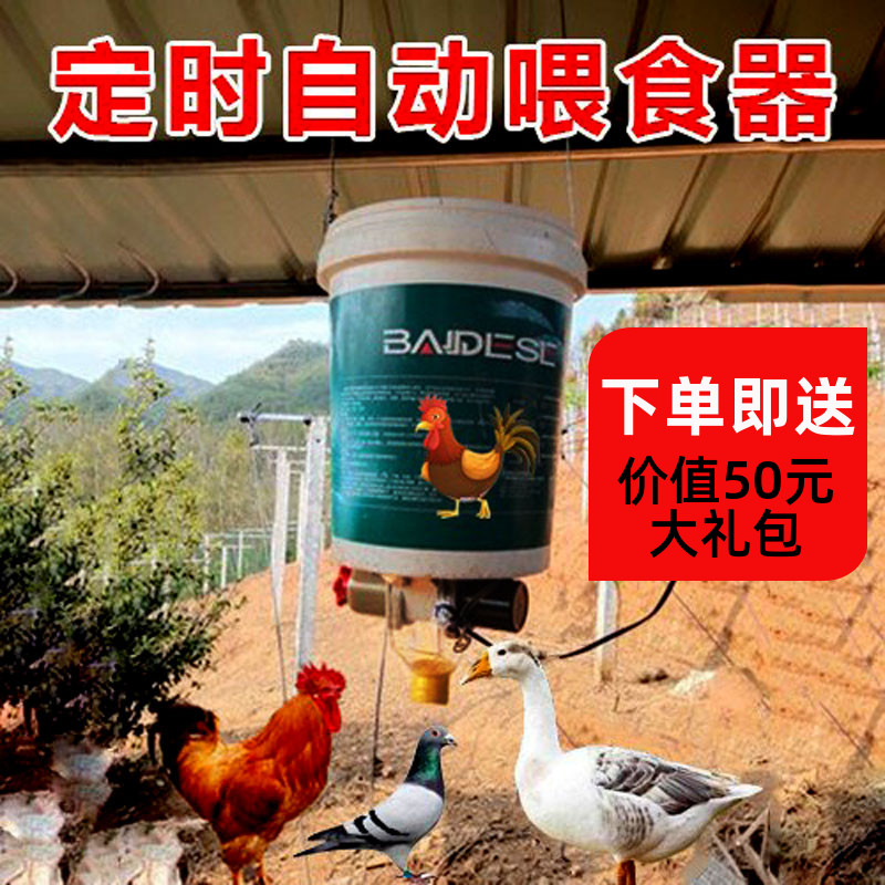 速发食子用品用具自动定时喂食器鸽盆料槽自助养鸡场喂鸽喂鸡神器