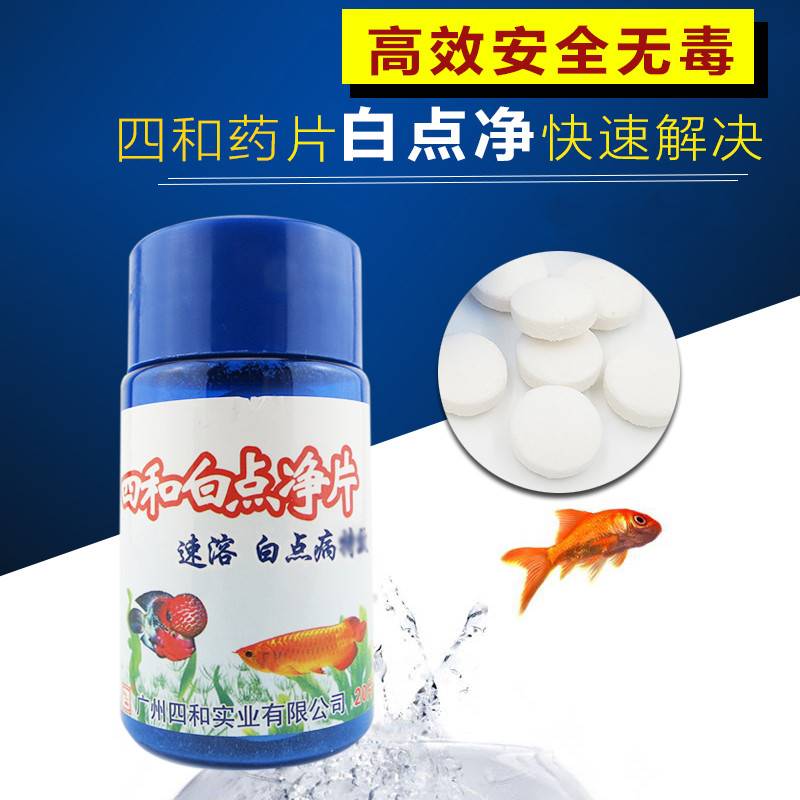 速发蝴蝶鲤药白点净赏速白白点观快热带鱼锦鲤去点鱼药白