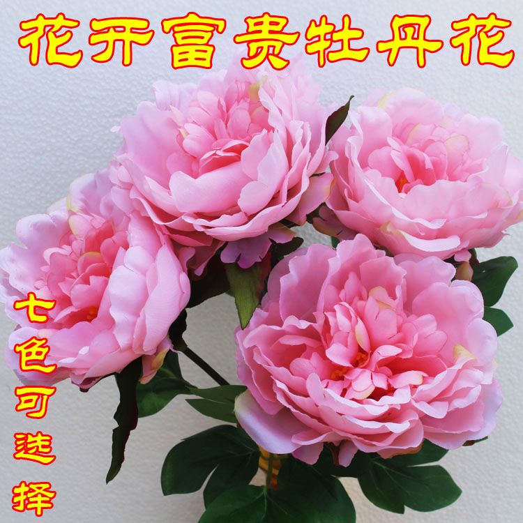 速发牡丹花芍药假合花供佛莲花花居装饰荷家百花佛台莲花