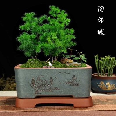 速发紫砂花盆四圆形盆景盆椭方形带桩座点彩陶瓷树底室内简约