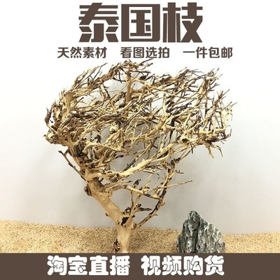 速发泰国沉木水草/造景木水形箱装饰树沉族木莫斯树流木鱼缸沉木