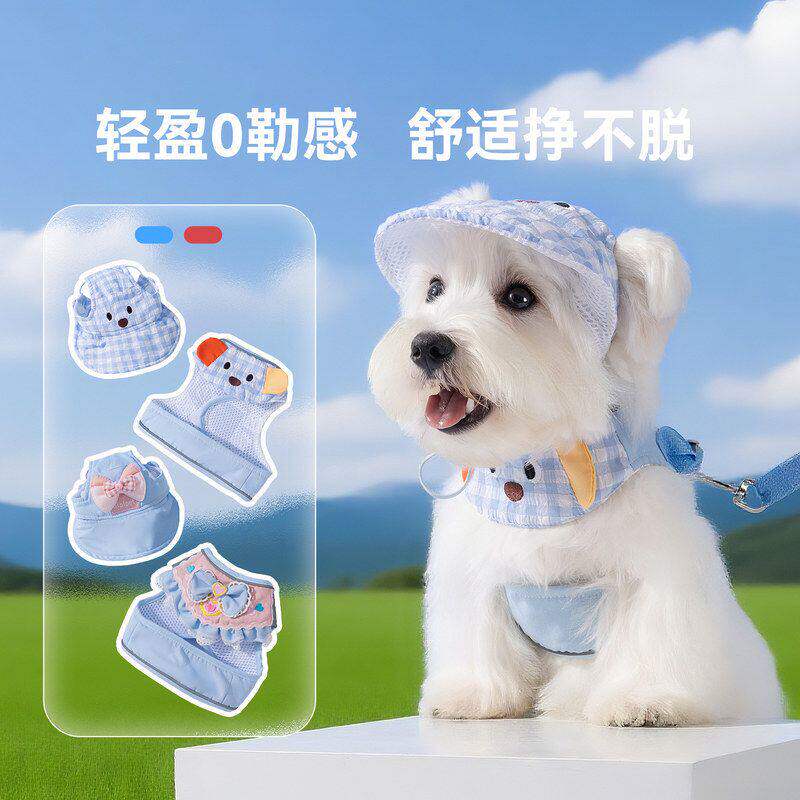 狗狗牵引绳帽子四季通用外出遛狗绳防挣脱口水巾猫咪带宠物胸背带