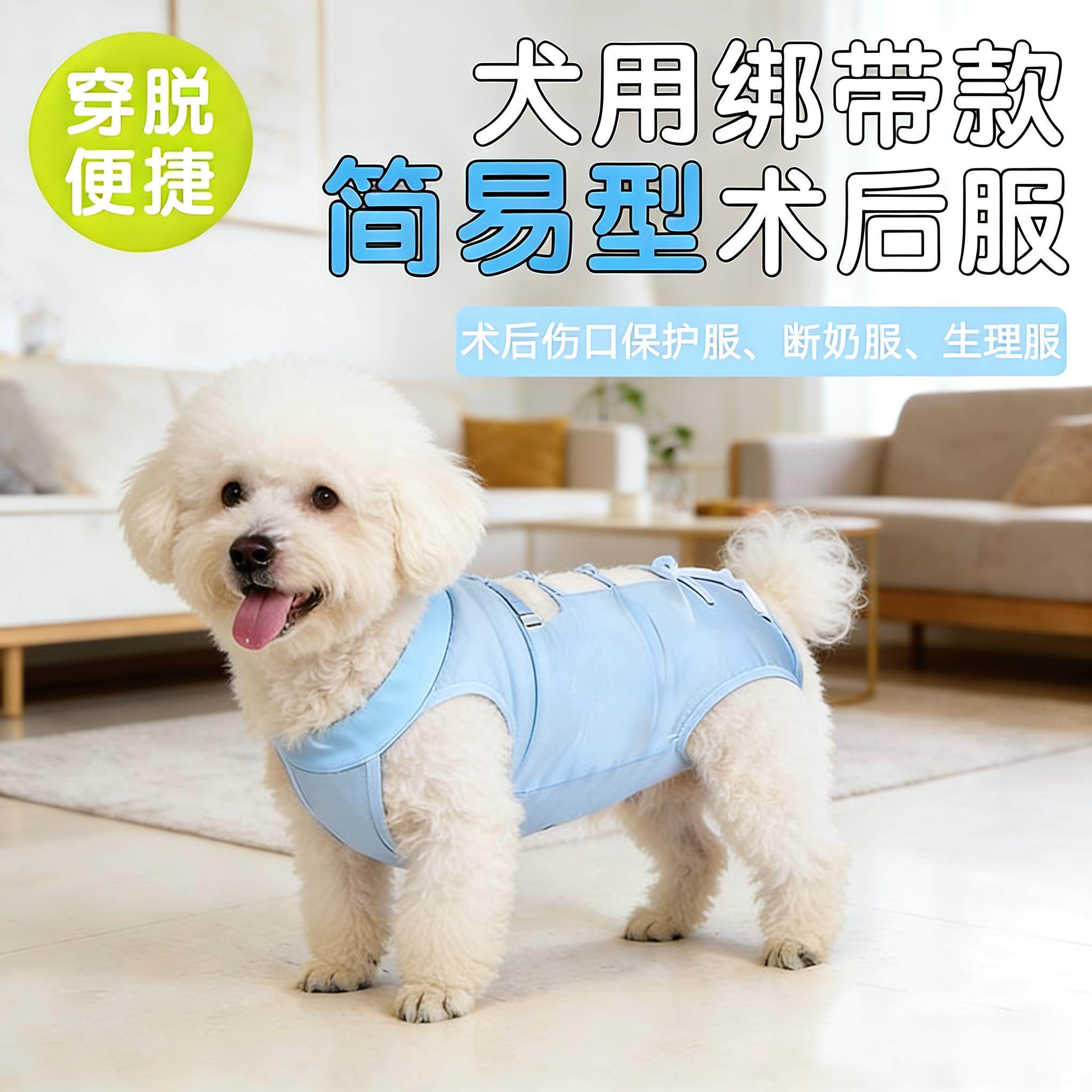 狗狗绝育服母狗术后康复服公狗防舔宠物衣服绑带大型犬边牧断奶服