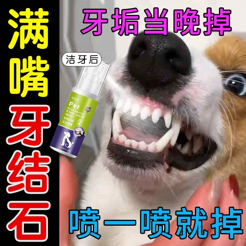 宠物牙结石软化剂去除神器溶解牙石速效狗狗猫咪口腔除臭牙齿清洁