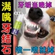 宠物牙结石软化剂去除神器溶解牙石速效狗狗猫咪口腔除臭牙齿清洁