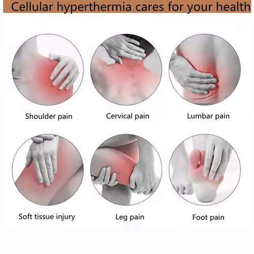 极速Terahertz Electrical Physiotherapy Muscle Stimulation Bl