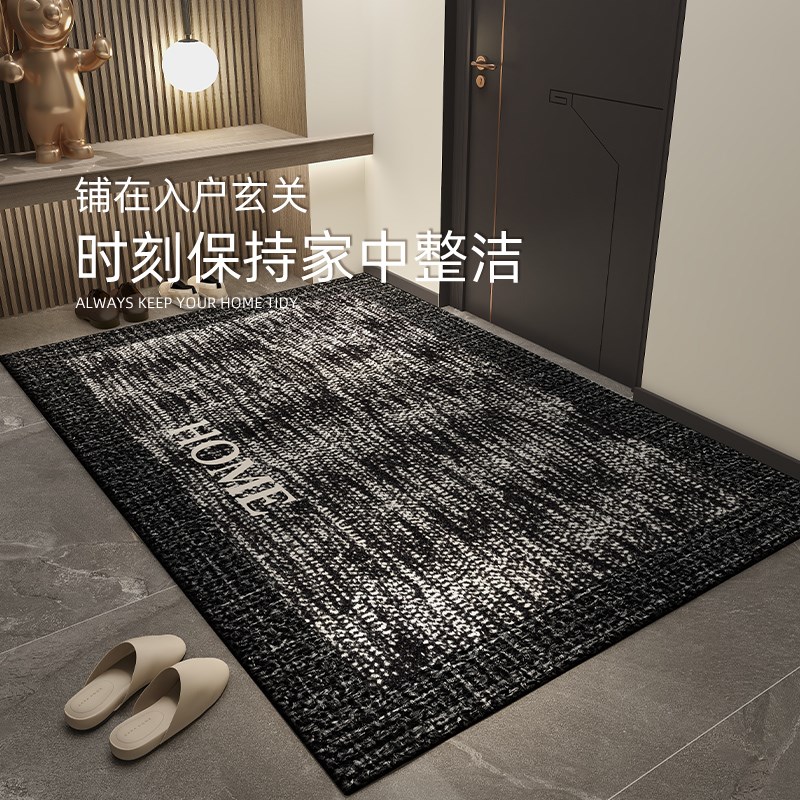 入户门口地垫轻奢高级感客厅玄关进门H地毯耐脏家用防滑地垫免打